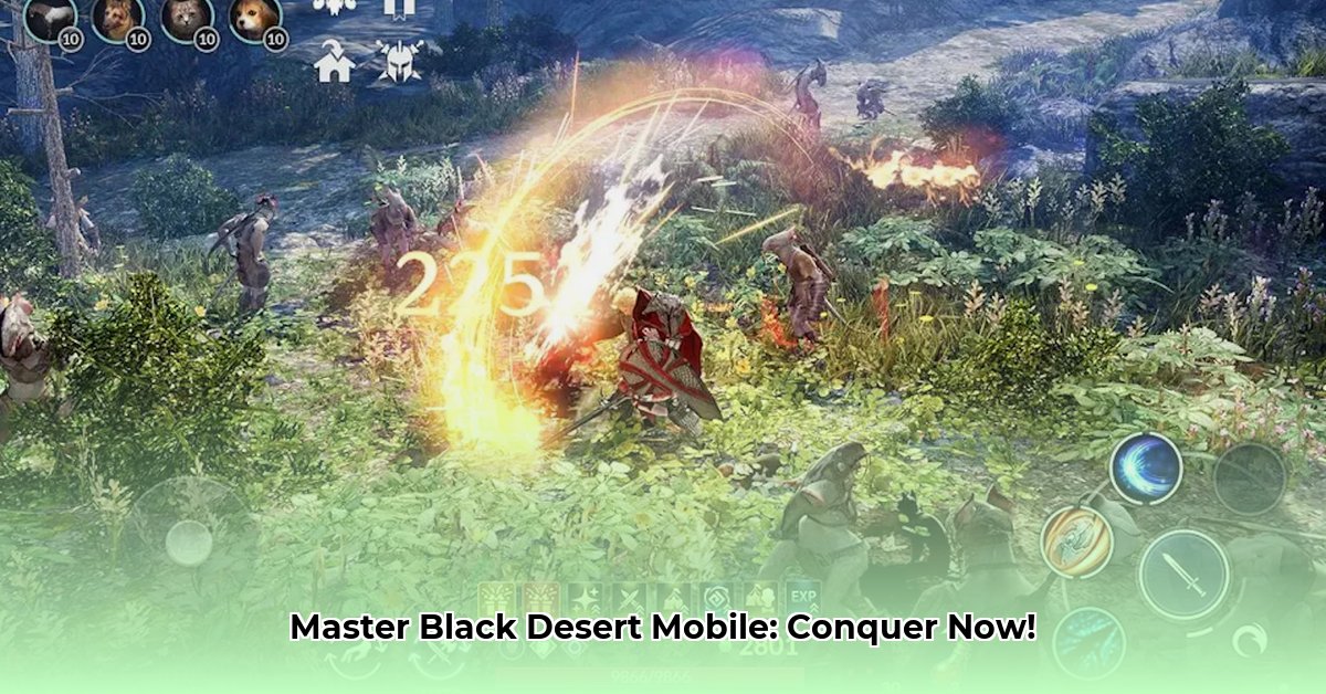 black-desert-mobile-apk